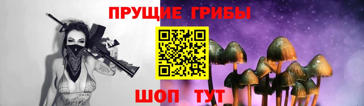 Тулун  Псилоцибиновые грибы мухоморы  Псилоцибиновые грибы Cubensis  Вход с VPN 